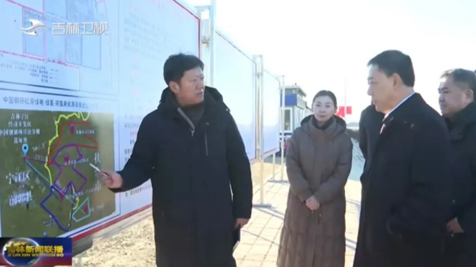 吉林省委副书记、省长胡玉亭调研中国钢研松原绿电-绿氢-纯氢米兰电竞项目
